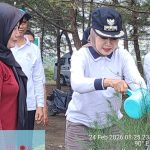 penanaman pohon cemara di pantai indah kemangi 2026 dengan bupati kendal